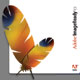 เทคนิคการสร้างงานเว็บกับ Adobe ImageReady CS (ตอนที่ 2)